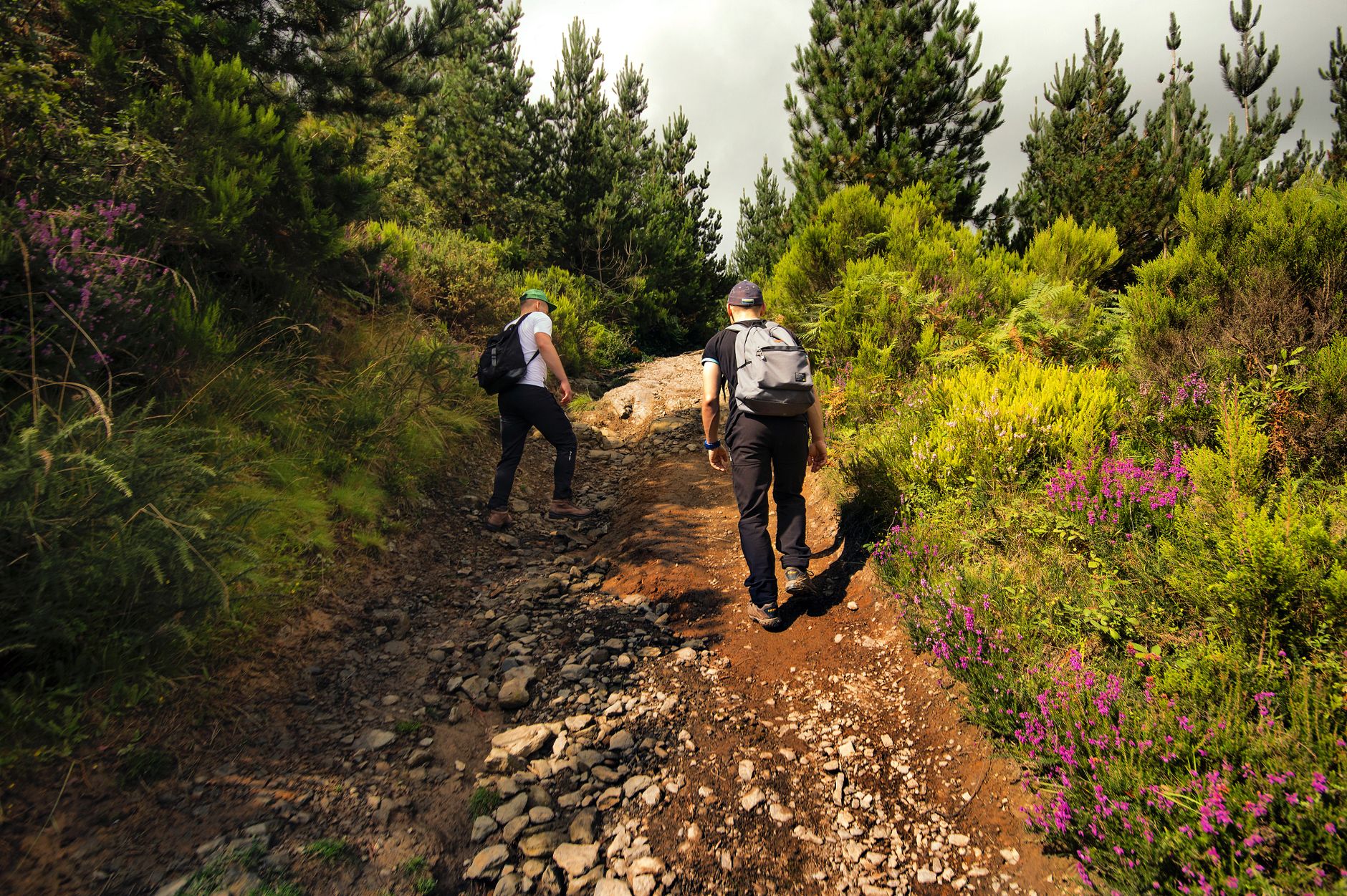 Bezpieczny trekking w Portugalii latem: upał, brak wody i pożary lasów krok po kroku