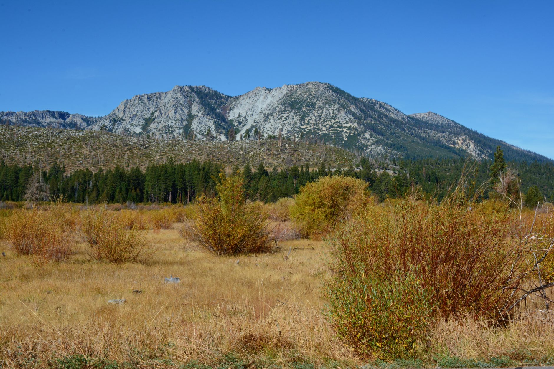 Sierra Nevada w Hiszpanii z jesiennymi drzewami i błękitnym niebem Sierra Nevada w Hiszpanii z jesiennymi drzewami i błękitnym niebem