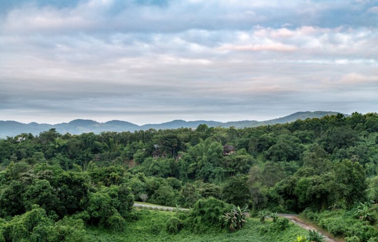 Zielone wzgórza i lasy Chiang Rai pod pochmurnym niebem